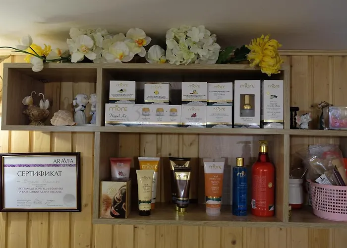 Готель Мальви Трускавець